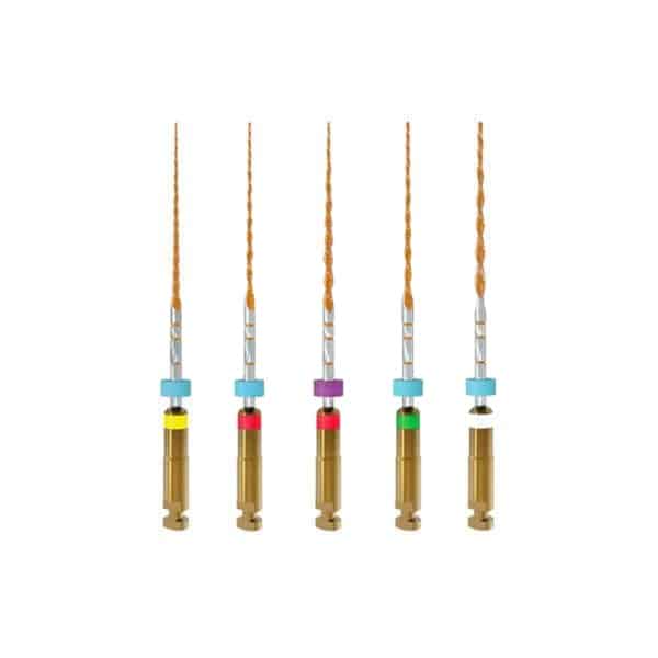 ONE RECI STERILE 5XL